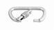 Карабін сталевий First Ascent Worker 50 kH keylock