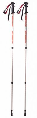 Палки треккинговые Tramp Scout 140 UTRR-009