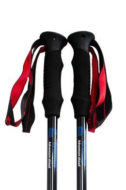 Палки треккинговые Tramp Trail 140 TRR-002