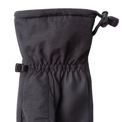 Перчатки зимние Trekmates Chamonix GTX Glove L