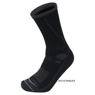 Шкарпетки Lorpen T3 Ms Midweight Hiker (T3MMH)