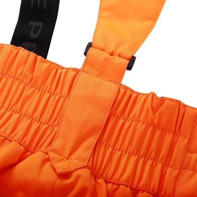 Горнолыжные штаны мембранные Alpine Pro NUDD 3
