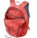 Рюкзак міський Deuter GoGo Currant-redwood (5588)